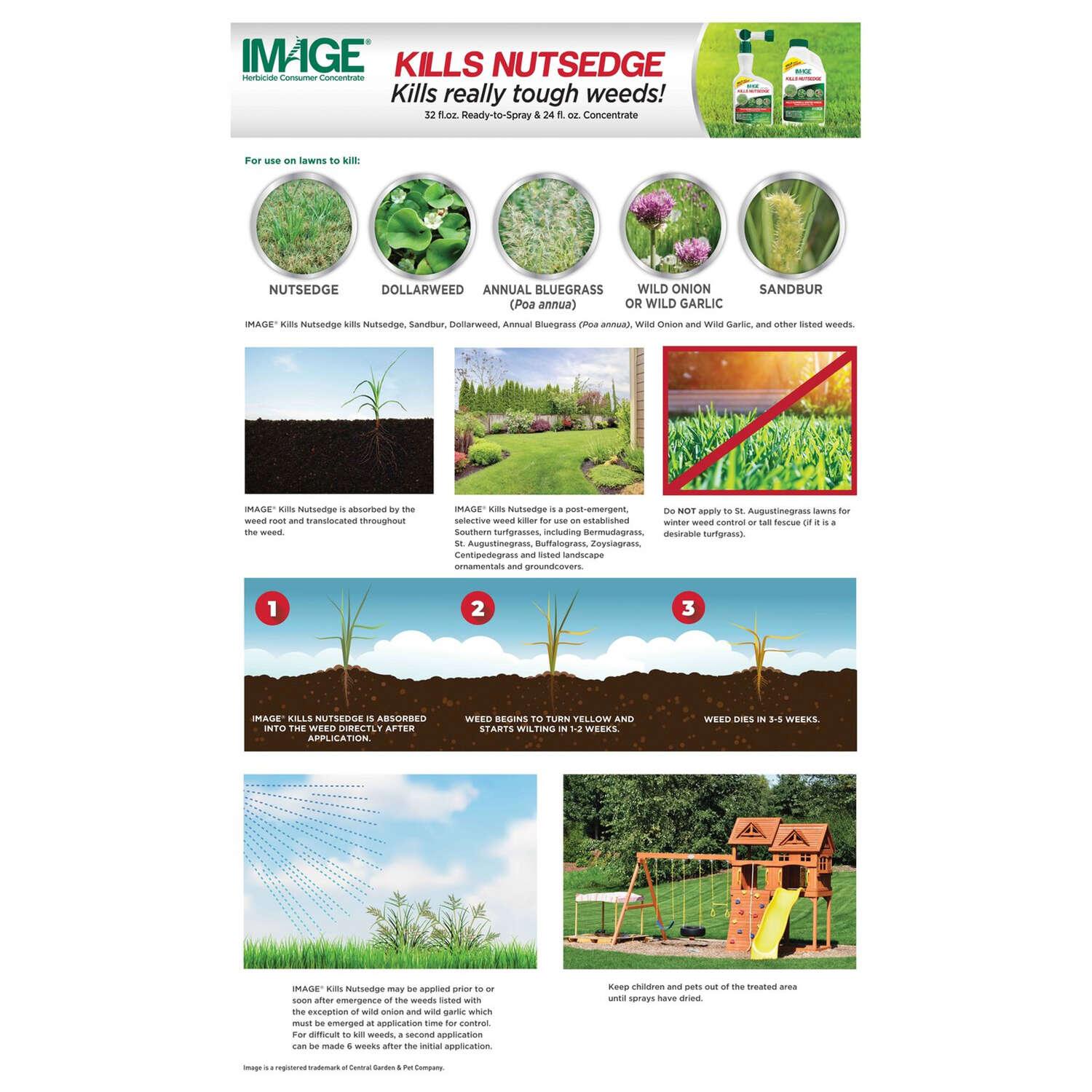 Lilly Miller Image Nutsedge Killer RTU Liquid 24 oz Arborb
