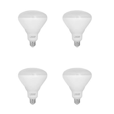 Feit Electric 300-Watt Equivalent BR40 Daylight (6500K) 120-Volt Pool and Spa Non-Dimmable LED Light Bulb (4-Pack) - Super Arbor