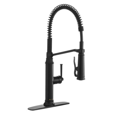 Linscott Single-Handle Coil Springneck Pull-Down Sprayer Kitchen Faucet in Matte Black - Super Arbor