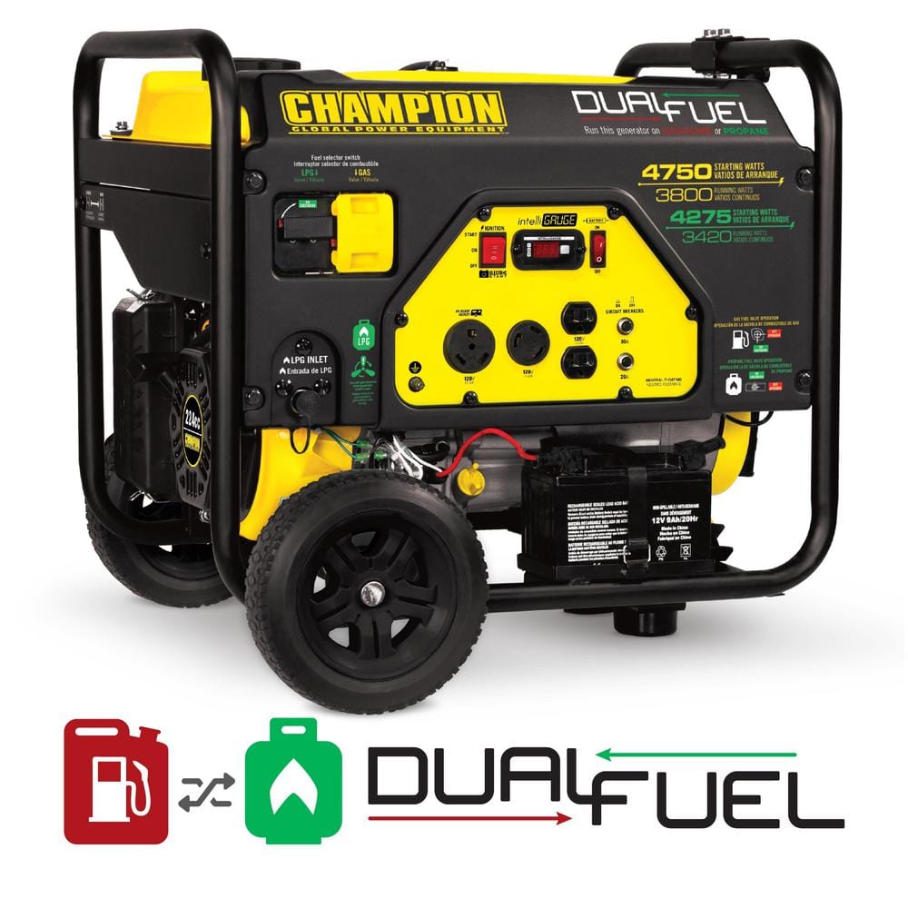 CHAMPION POWER EQUIPMENT 6250Watt DualFuel Powered Portable Generato